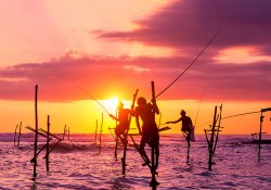Stilt fishing