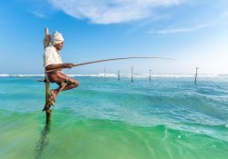 Stilt fishing