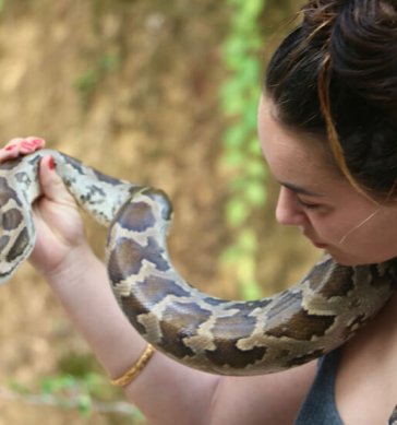 Snake farm
