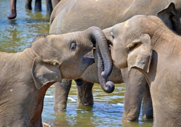 3 Days and 2 Nights Tour